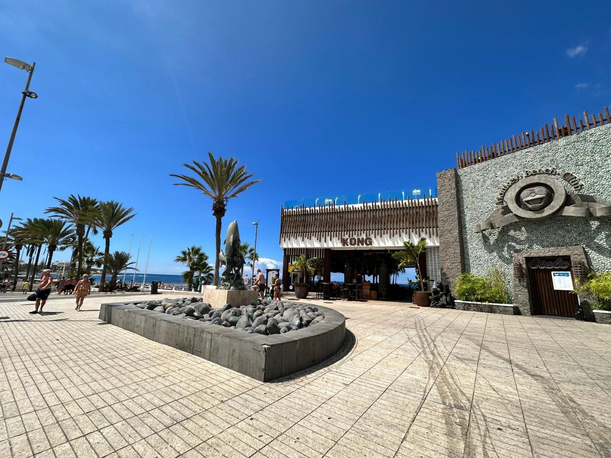 Apartamento Torres De Yomely - Y1G Playa de las Américas Exterior foto